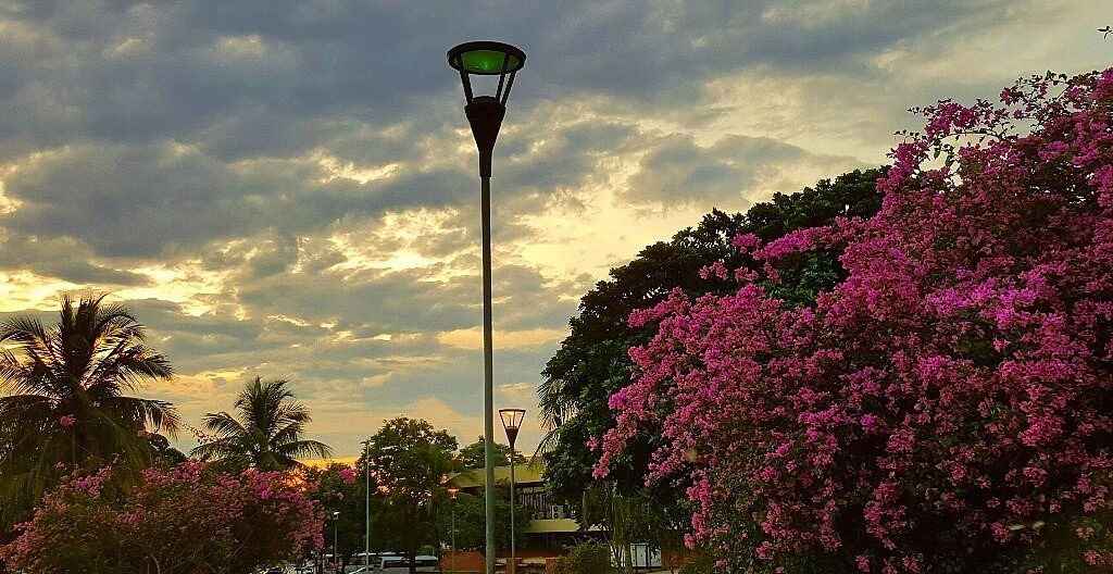 praça dos girassóis