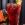 Red Label & Red Wine 