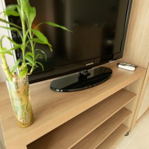 Rafael Ohana Life´s Treasures